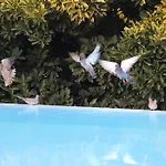 Bed & Breakfast Estrebuela House Paredes (Porto)