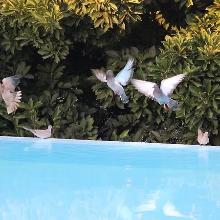 Bed & Breakfast Estrebuela House Paredes (Porto)