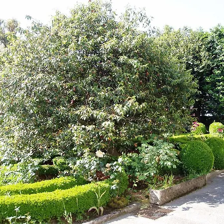 Estrebuela House 3* Paredes (Porto)