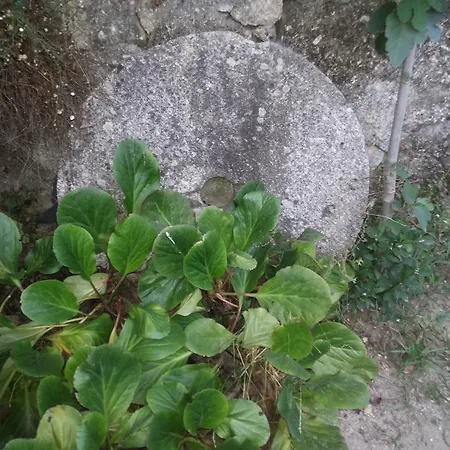 Estrebuela House Bed & Breakfast 3*