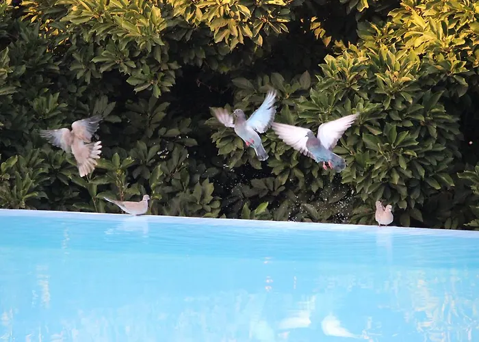 Bed & Breakfast Estrebuela House Paredes (Porto)