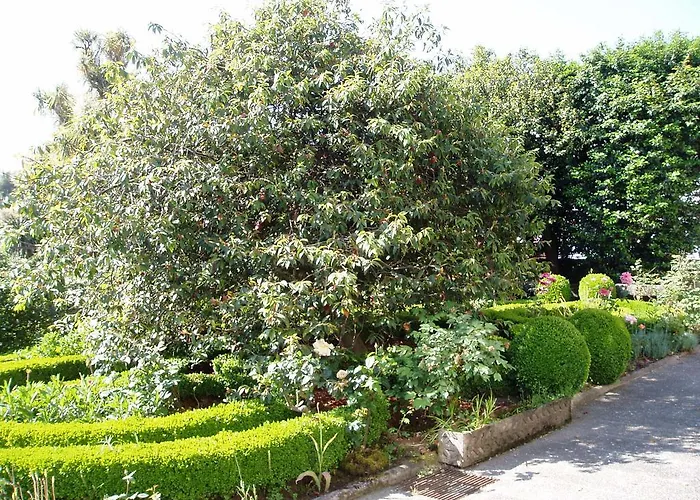 Estrebuela House 3* 파레데스