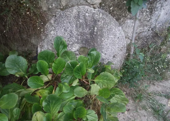 Estrebuela House B&B 3*